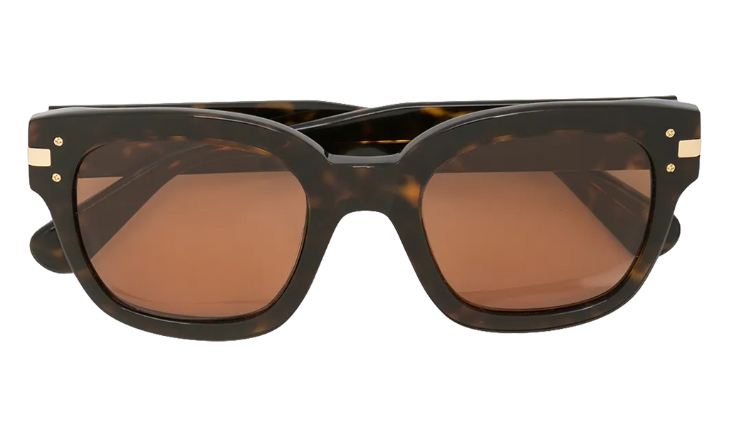 Classic Logo Sunglasses Brown / Brown / Gold XA41763AC BBG
