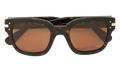 Classic Logo Sunglasses Brown / Brown / Gold XA41763AC BBG