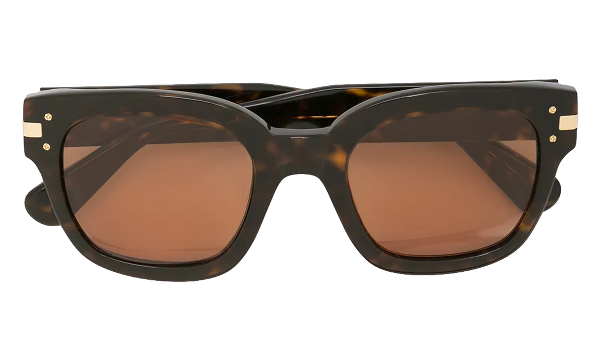 Classic Logo Sunglasses Brown / Brown / Gold XA41763AC BBG