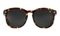 Revolution Acetate Brown Tortoise / Black MPRE2 0006 40T4