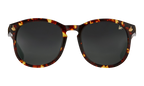 Revolution Acetate Brown Tortoise / Black MPRE2 0006 40T4