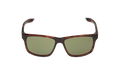 Essential Chaser Sunglasses Tortoise / Black / Green EV0999 203