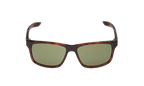 Essential Chaser Sunglasses Tortoise / Black / Green EV0999 203