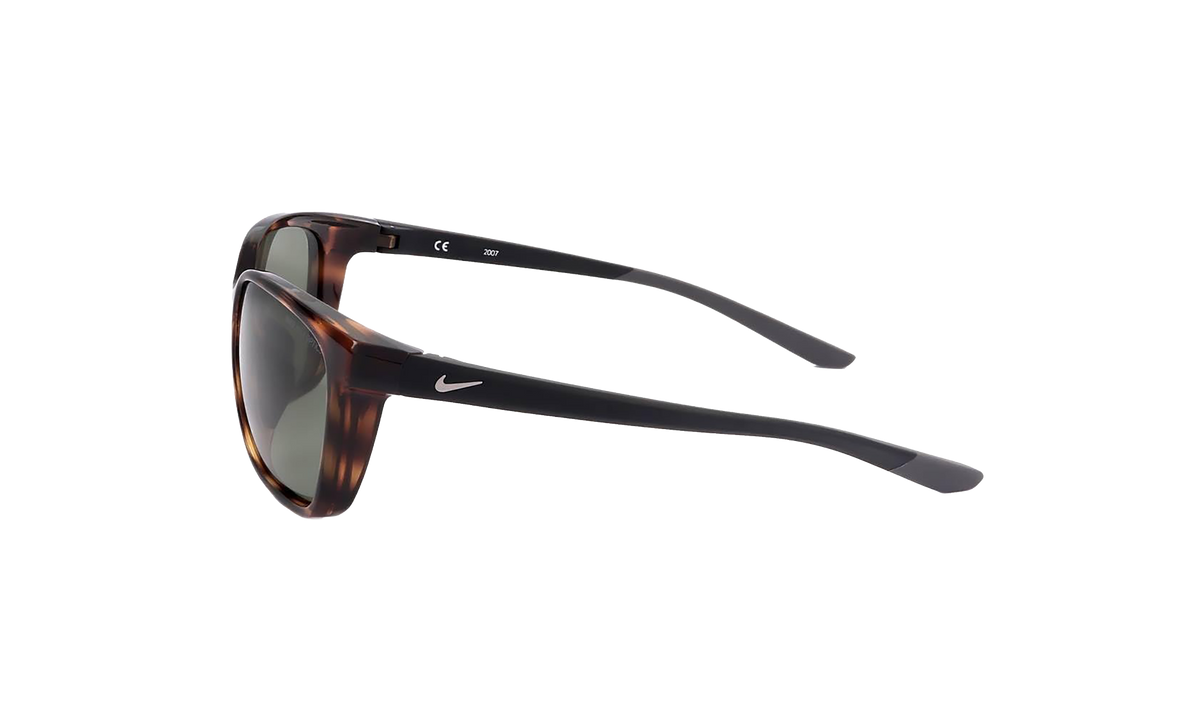 Sentiment Sunglasses Dark Tortoise Green CT7886 220