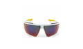 Windshield Sunglasses White Dark Cinder CW1287 106