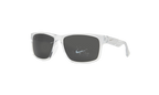 Cruiser Sunglasses Crystal / Clear EV0834 901