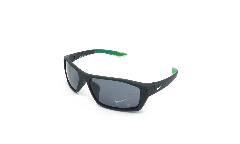 Brazen Shadow Sunglasses Black CT8228 010