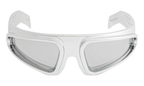 Ryder Sunglasses Silver RG0000012 GSLVC 1818